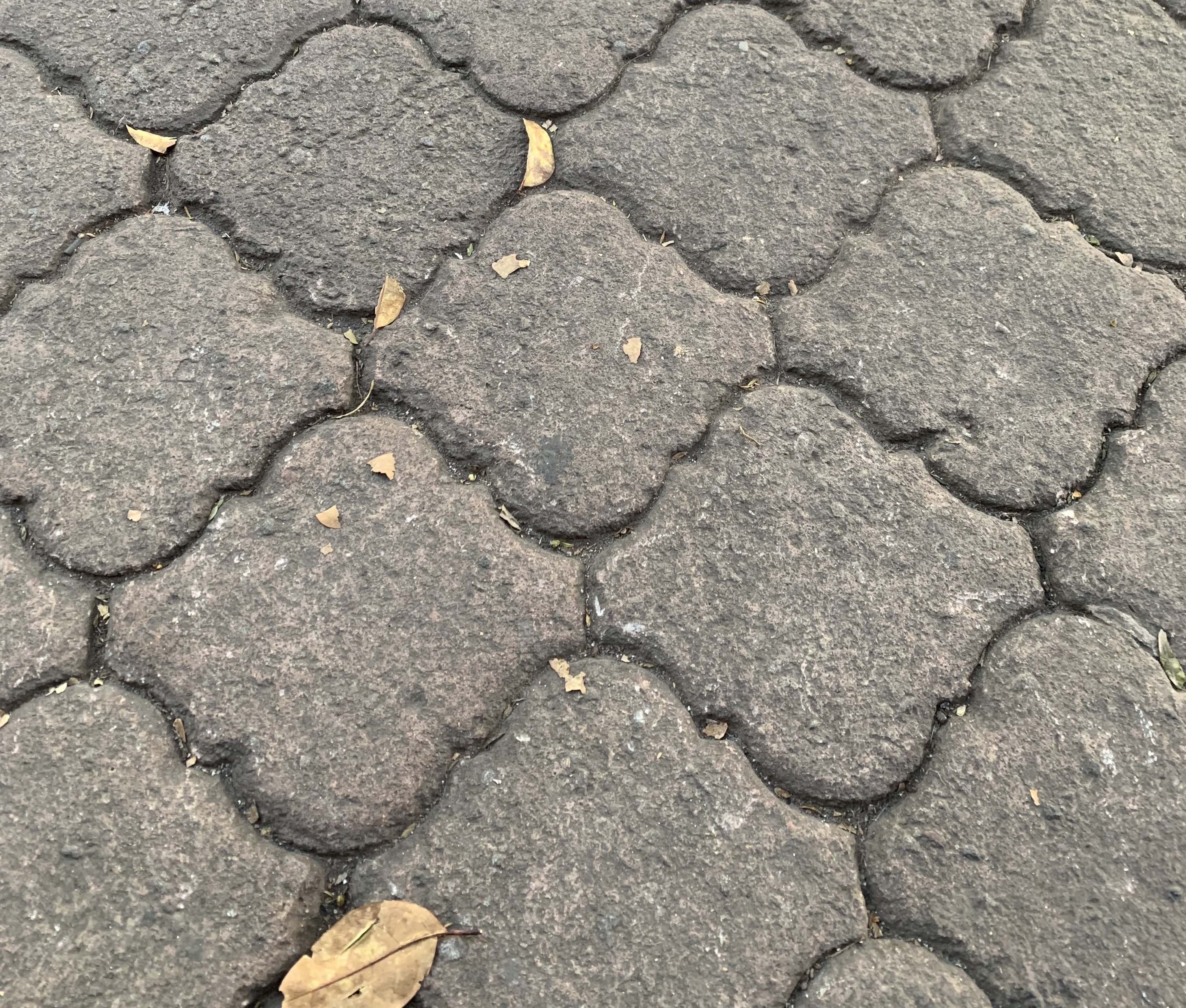 Ogee pattern in architecture